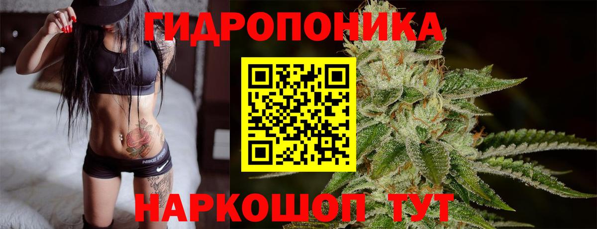 Конопля конопля Славянск-на-Кубани